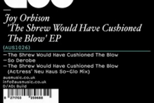 Joy Orbison – The Shrew Would Have Cushioned The Blow Joy Orbison – The Shrew Would Have Cushioned The Blow